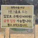 소길동백 | 제주 서쪽 수국카페 애월 이끼숲소길, 산책하기 좋은 숲길 추천