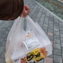 핑계치킨 | 60계치킨 크크크순살치킨/ 포테이토 치즈스틱 후기/ 인천대공원 야간 단풍 사진