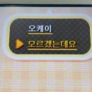 클럽더독스 | 사랑해그리고이제모든걸함께잊어버리자