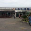 일출봉아로니아 이미지