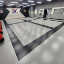 타이거 합기도 이미지