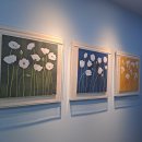 독수리눈안과의원 이미지