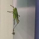 용화게임장 네이버블로그