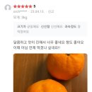 현이네마켓 | 투현이네마켓 제주카라향🍊