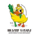 오리사냥 2 이미지