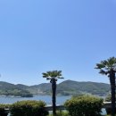 돌고래 펜션 이미지