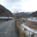 승산농장 Daum카페