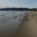 싼타모니카 이미지