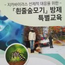 에코씨씨엠 이미지