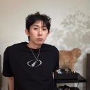 코드 쿤스트 카카오 검색결과
