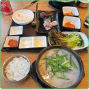 양지위생 이미지