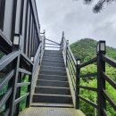 라밸리농원 이미지