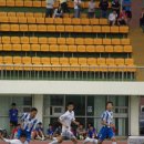 여주종합운동장 이미지