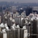 판도라독 이미지