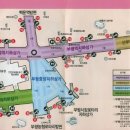 우리금강약국 이미지