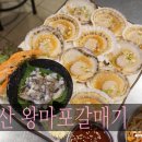 왕마포갈매기 이미지