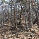 장자봉(487m).미륵산(능바위산476m).미륵산(능바위산)동봉(465m).미륵산(능바위산)소암봉(450m)/전북 완주 이미지