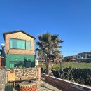 헤드홈탐라 이미지