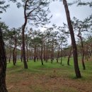 곰사당 | [국가유산방문_25] 충남 공주 국가유산&amp;2025년 공주 모바일스탬프투어(3/3) _250413
