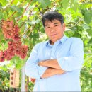 송산포도로 네이버블로그