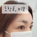 강남 눈썹문신 잘하는곳 미쓰맨에서 자연눈썹 완성! 시사스튜디오 방문 후기