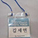 반려동물 치과 진료의 현재와 미래 – 아시아수의치과포럼 후기 (광교·수원)
