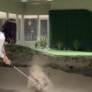 신나라스크린골프 이미지