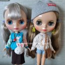 네오멤버스 이미지