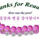 이마트 트래더스 네이버블로그