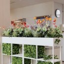 플랜테리어 이미지