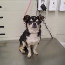 소란캠프 야영장 이미지