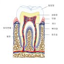 치과 가기 싫으시죠? 연재로 퍼오겟슴니다. 이미지