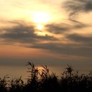 가거도 태양 이미지