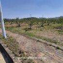 양지-2790 이미지