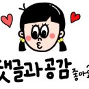 불난막창 별내점