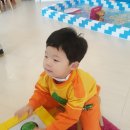 펀토리 이미지