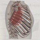 BODY愛(바디애) 이미지