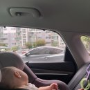 스테이 신사리 이미지