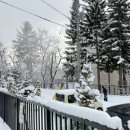 더하얀세상 이미지