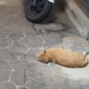 우정국밥