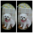 몽이스토리