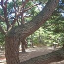 하동공원길 이미지