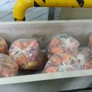 효자농장 이미지