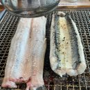 장어의 꿈 이미지