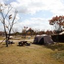 킨택스캠핑장 이미지