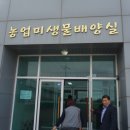 제주특별자치도 농업기술원 동부농업기술센터 이미지