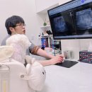 강아지 간 종양 원인과 수명 실제 초음파 검사 후기