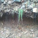 송촌한우농장 이미지