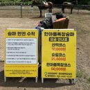 한아름목장 네이버블로그