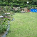 전원애견 이미지